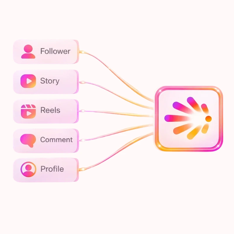 comprehensive suite of all-in-one Instagram tools