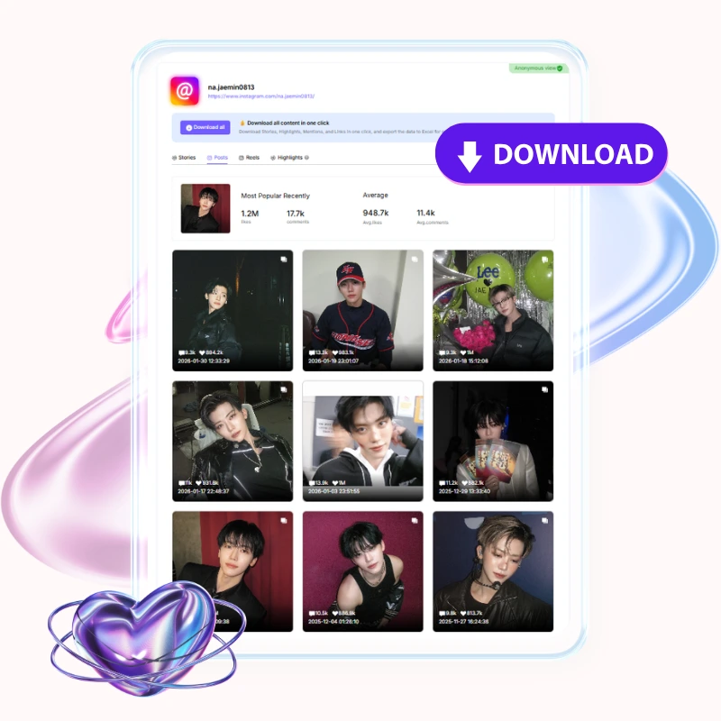 Lightning‑Fast Instagram Story Downloader